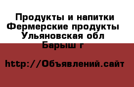 Продукты и напитки Фермерские продукты. Ульяновская обл.,Барыш г.